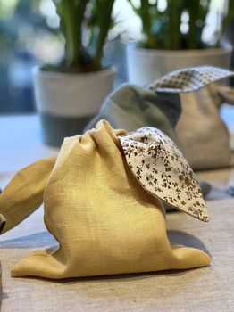 Hovedbilde Hareposer